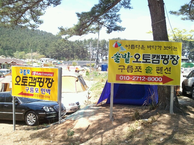  [태안 캠핑장] 구름포 솔밭 오토 캠핑장