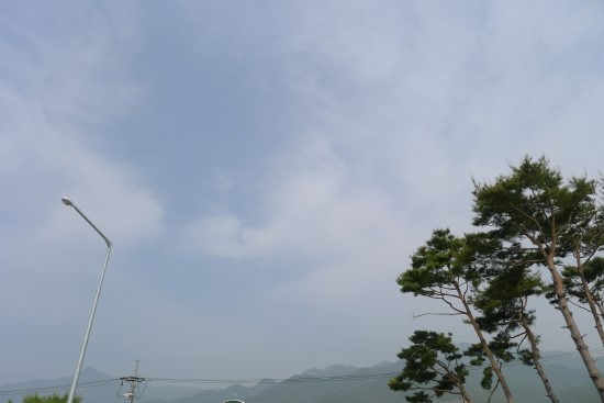  2013 순천만 국제정원박람회
