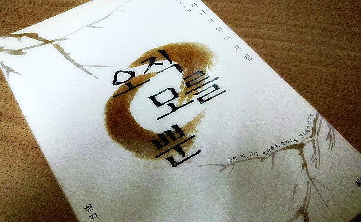 오직 모를 뿐/오직 할 뿐(숭산) 오직 모를 뿐/오직 할 뿐(숭산)