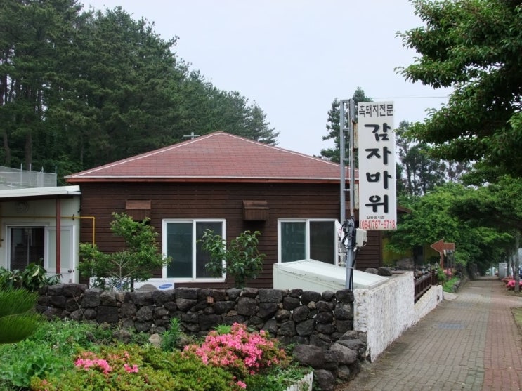 제주도(서귀포시) 맛집 감자바위