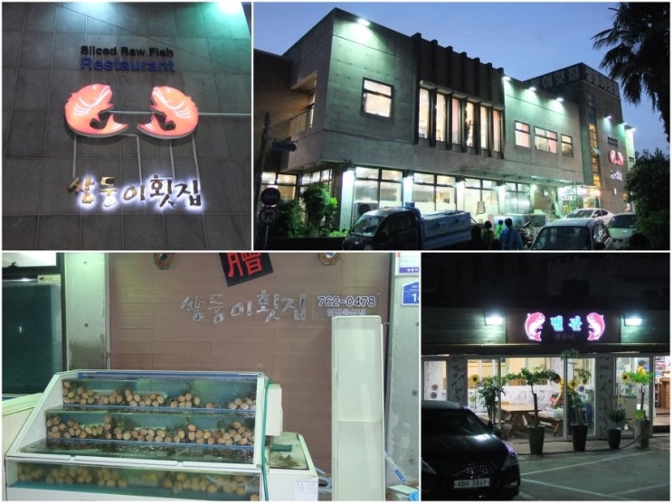  제주도(서귀포시) 맛집 쌍둥이 횟집