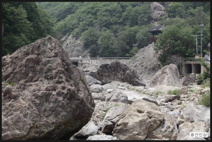 [전북 진안]운일암 반일암 계곡에 서니와 태풍이~ 대전근교계곡