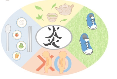 '나쁜 <b>염증</b>'을 잡아야 노화도 잡는다