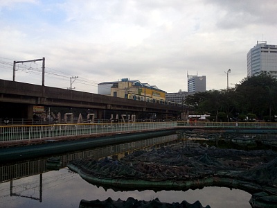리잘파크 (Rizal Park) [2011. 01. 07]