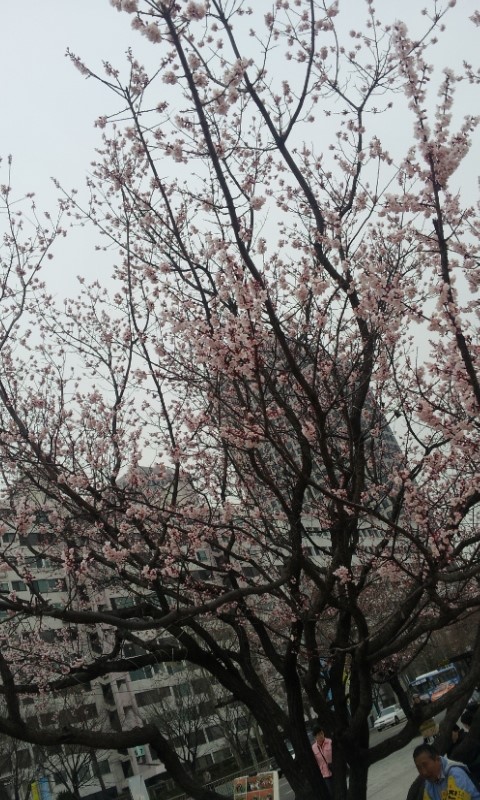 2012.04.13첫나들이 여의도 공원 ! 