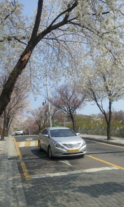 2012.04.20 벚꽃보러 경기도청 ! 