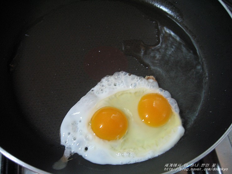 닭이 쌍란을 낳았어요. (鶏が双子の卵を産みました。)