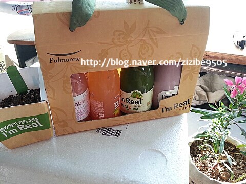 [풀무원 아임리얼]I'm real with ECO POT