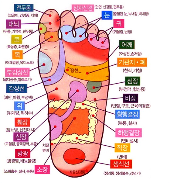  발지압표 잘보시고 건강한 하루를~~