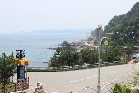  동해 물회