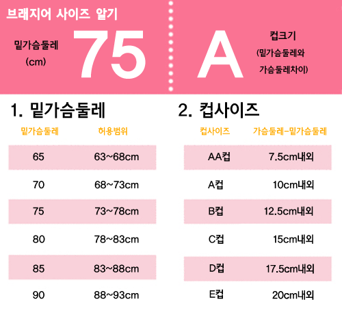 오차 없이 남자, 여자 가슴 사이즈(둘레) 재는법, 가슴(브라) 사이즈표 참고하세요!
