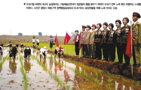 <b>북한</b>의 <b>모내기철</b> … 밥술 뜨는 사람은 모두 동원?!