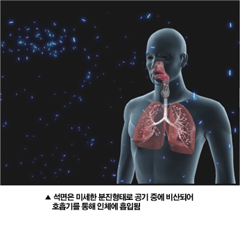  (진폐/직업성암/ 산재보상/산재처리) 석면으로 인한 직업성 암!