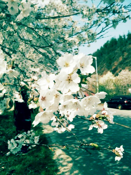  2013. 봄