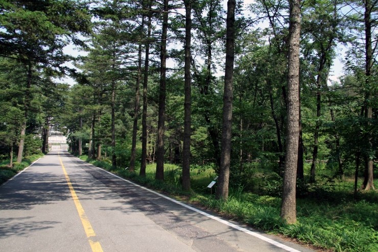  2013 오산물향기수목원 2