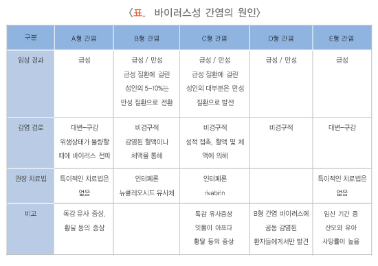 간염 B형 간염의 원인증상 완치 보균자 항바이러스제의 부작용