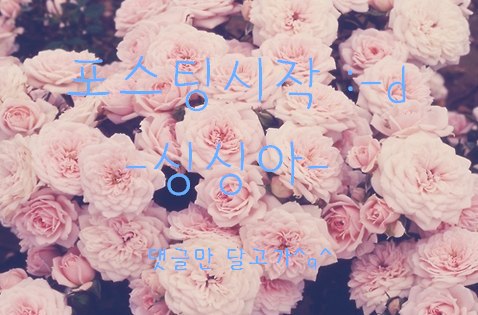  2013.08.01.(목)/메이플스토리/메이플스토리 레드/메이플스토리 red/메이플스토리 모험가/메이플스토리 모험가 튜토리얼