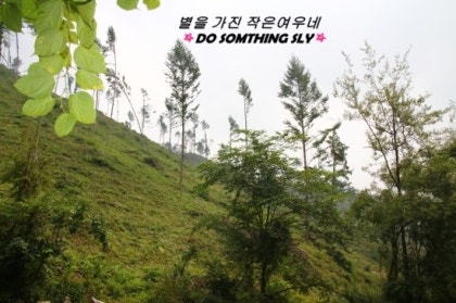 마가리 이미지