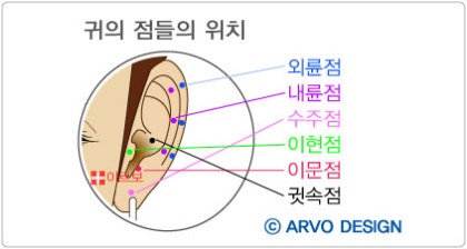 귀의점,귀점,귀관상,귀용어,귓점,아르보관상,관자필러 : 네이버 블로그 귀의점,귀점,귀관상,귀용어,귓점,아르보관상,관자필러 : 네이버 블로그