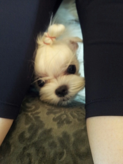  순아 까꿍