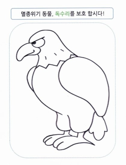 독수리 색칠하기