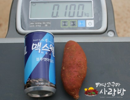 고구마 칼로리 와 고구마 다이어트 : 네이버 블로그 고구마 칼로리 와 고구마 다이어트 : 네이버 블로그
