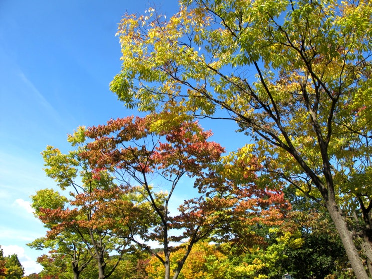  이렇게 좋은날엔 서울대공원