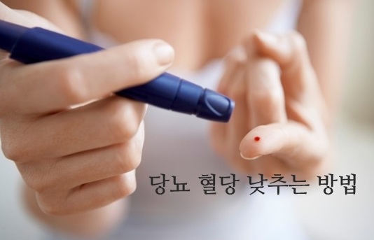 [혈당낮추는방법] 당뇨식단표와 생활운동