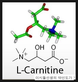 l carnitine 효능 기능성 식품학] L-카르니틴의 효능… – 레포트샵 리퀴드 L-카르니틴 캡슐 구매하기 |