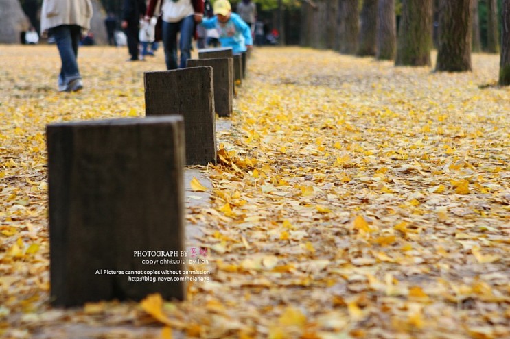 가을풍경사진모음 : 네이버 블로그