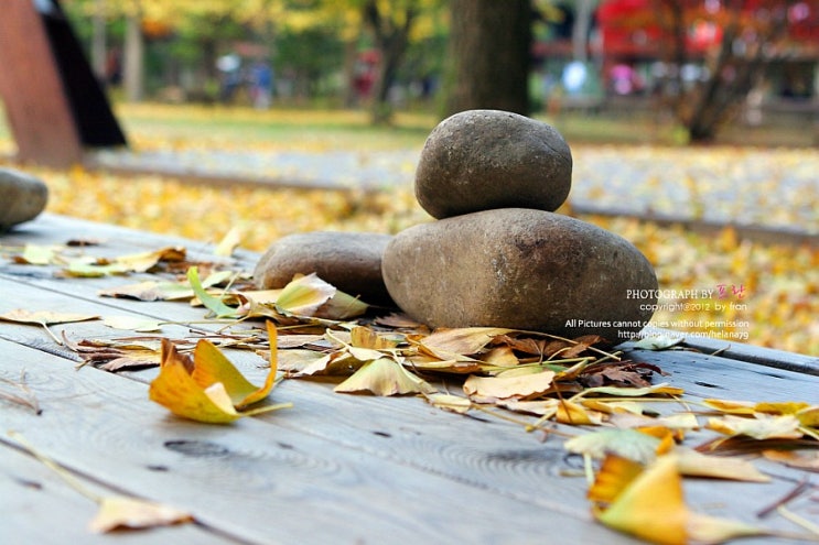 가을풍경사진모음 : 네이버 블로그