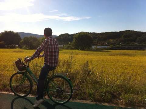 [아산 신정호] 가을바람가르며 자전거 타요~~~