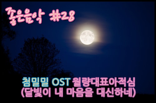 월량대표아적심 (등려군 장국영) 첨밀밀 OST [가사/듣기]