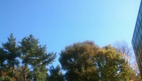 서울대공원 서울대공원