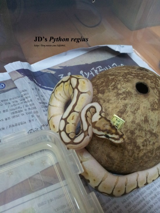  첫 피딩