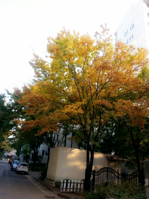  사랑으로