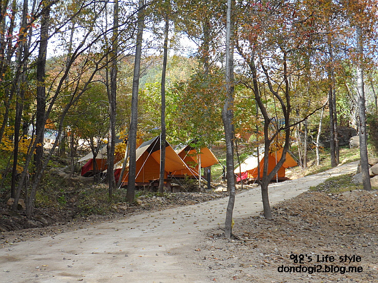  화천 에코스쿨 캠핑장과 한뼘길 산책 (물빛누리호 유람선은 덤^^)