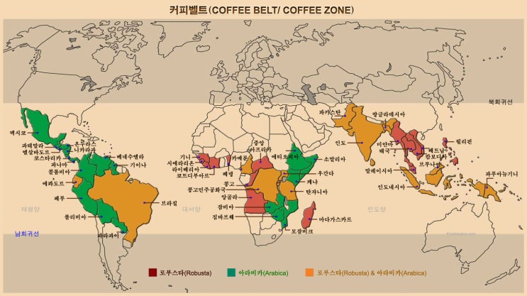 커피벨트(Coffee Belt) / 커피존(Coffee Zone)