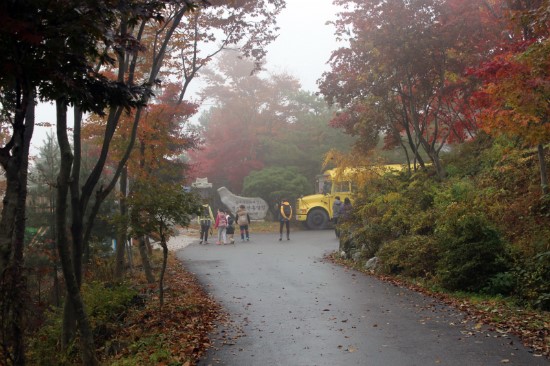 대둔산 단풍숲길~