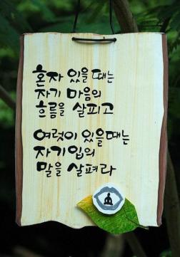  (분당게이트맨추천) 이해인수녀님의 "나의 별이신 당신에게"