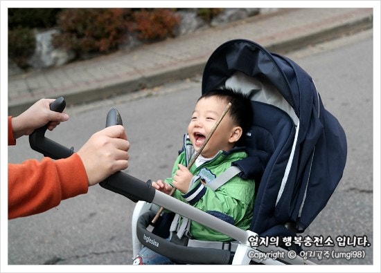 유모차 추천, 잉글레시나 트릴로지 타고 첫외출~♪