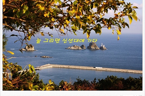 늘그리다 이미지