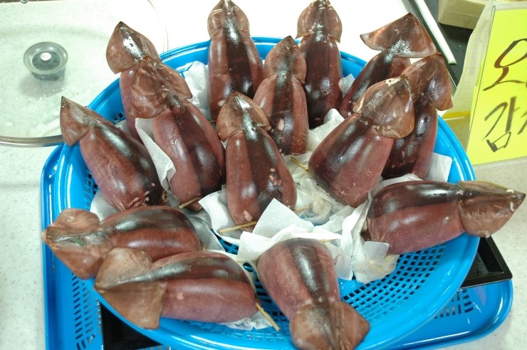  속초 중앙시장
