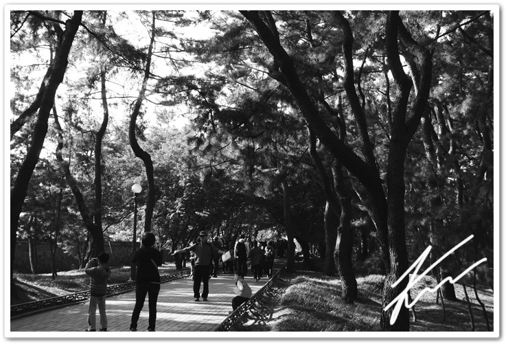  [경주] 대릉원&첨성대