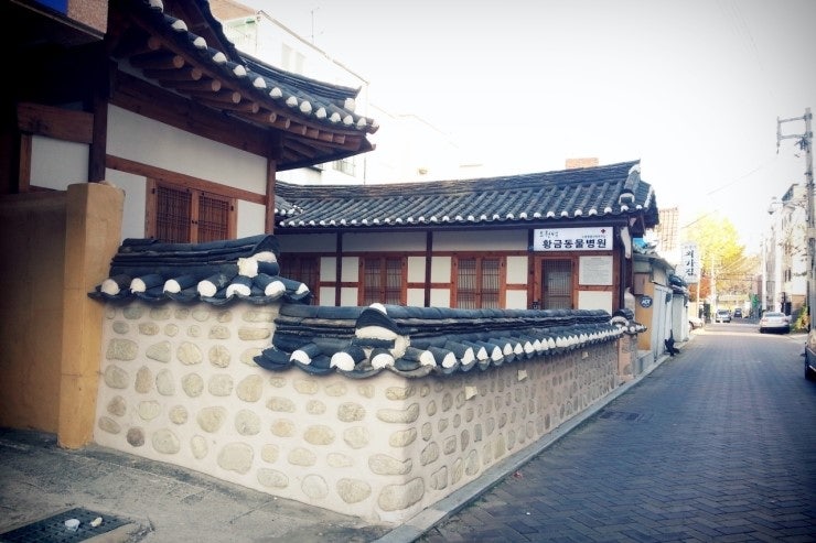 쪽쪽이 기본검사_ 오원석 황금동물병원