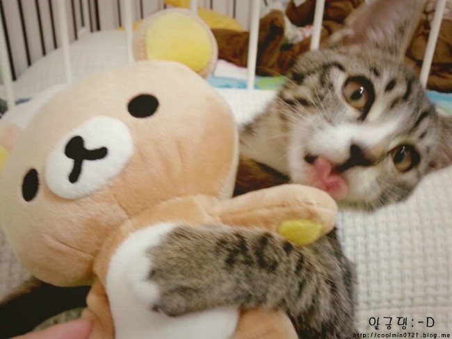 131202 블로그컴백 131202 블로그컴백