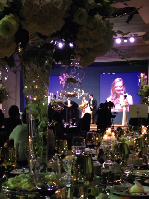 [아만다사이프리드] 아만다와 함께한 끌레드뽀보테 자선파티와 그녀의 생일파티:)