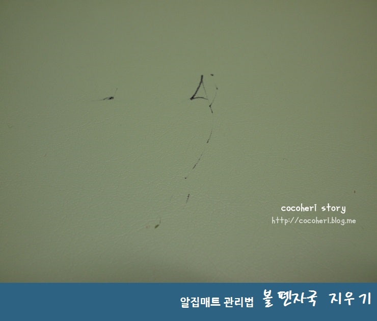 알집매트 볼펜자국 지우기