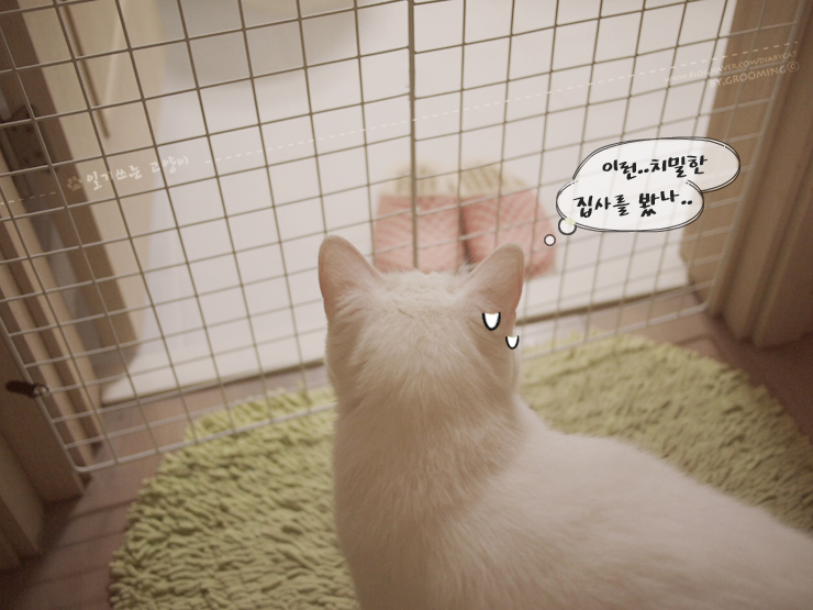  고양이 방묘문 만들기^