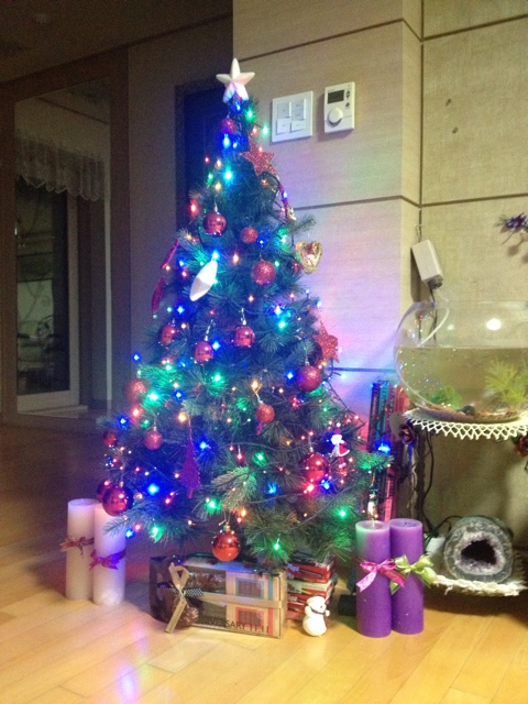  2013..Merry Christmas~
